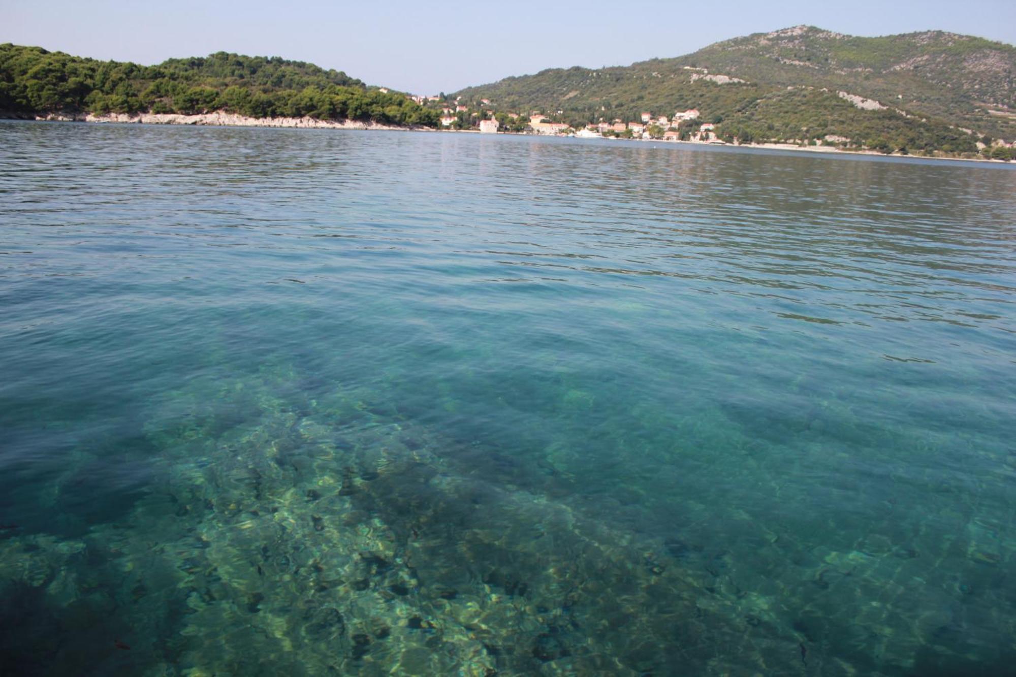 Apartments Boris Zaton (Dubrovnik-Neretva) Quarto foto