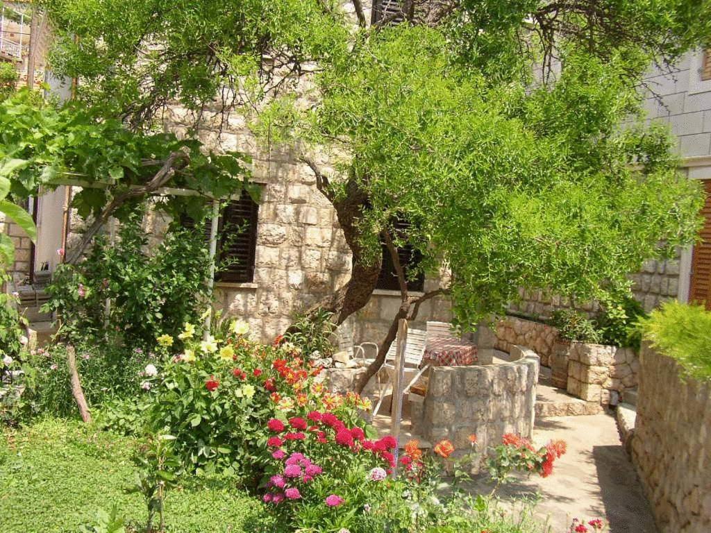 Apartments Boris Zaton (Dubrovnik-Neretva) Exterior foto